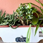 公寓 La Casa Blu 罗马