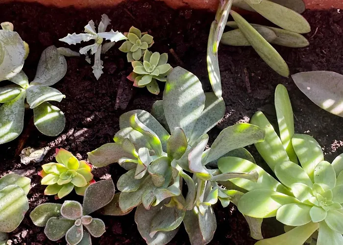 Apartment La Casa Blu Rome