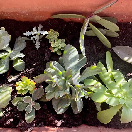 Apartment La Casa Blu Rome