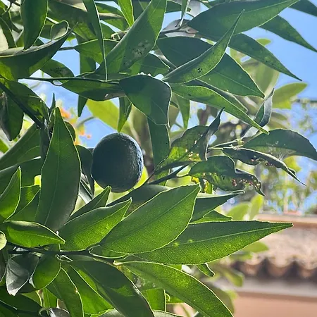 La Casa Blu * Ρώμη