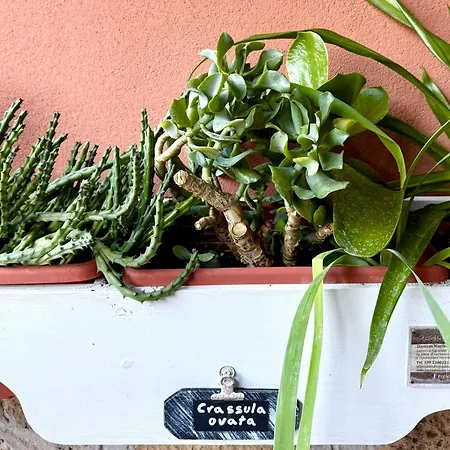 Lägenhet La Casa Blu Rom