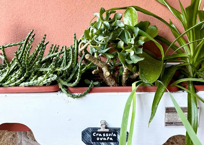 Apartmán La Casa Blu Řím